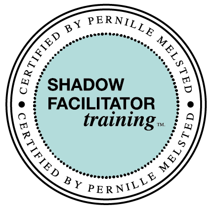 shadow facilitator training