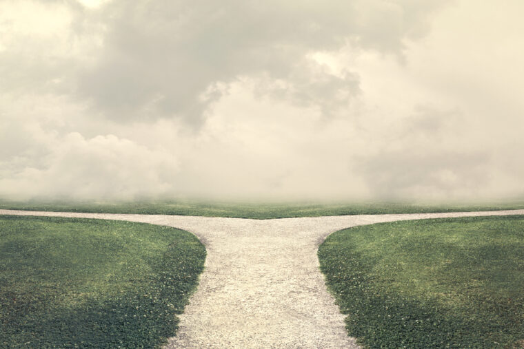 the shadow proces med pernille melsted