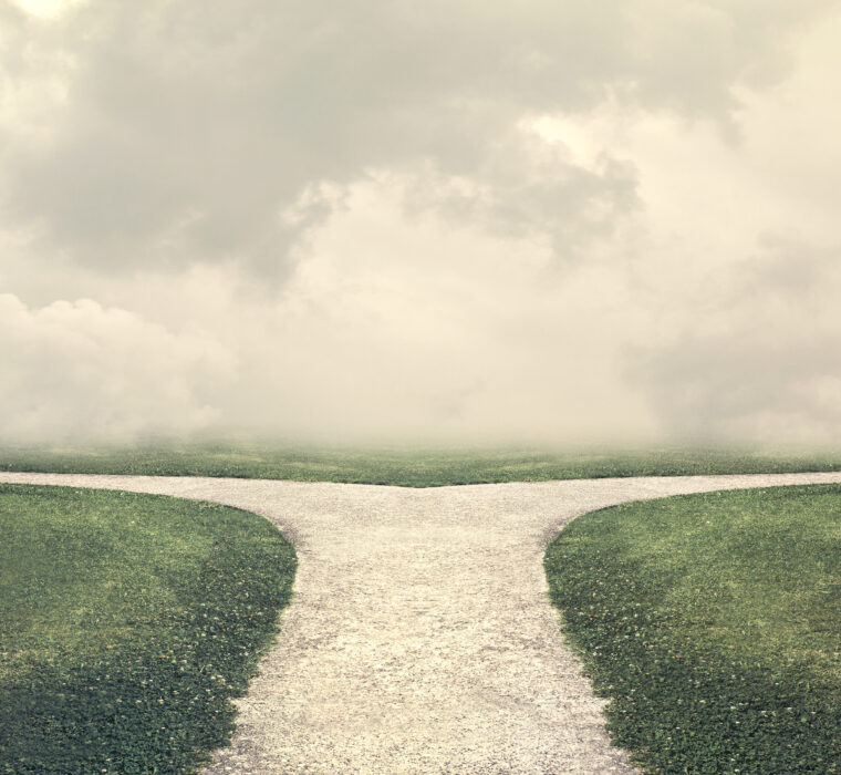 the shadow proces med pernille melsted